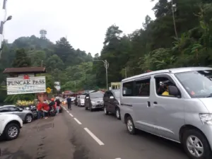 Libur Panjang Kenaikan Yesus Kristus, Arus Wisatawan Padati Jalur Puncak Bogor