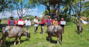 Industri di Bojonegara Kabupaten Serang, Salurkan Belasan Hewan Kurban untuk Warga dan Karyawan 7 Industri di Bojonegara Kabupaten Serang, Salurkan Belasan Hewan Kurban untuk Warga dan Karyawan