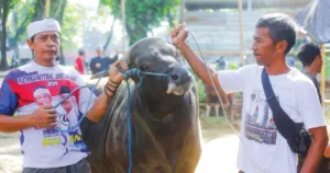 Jelang Iduladha 1447 H, Pemkot Bogor Periksa Kesehatan Hewan Kurban di Bubulak 2 Jelang Iduladha 1447 H, Pemkot Bogor Periksa Kesehatan Hewan Kurban di Bubulak