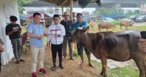Ketua DPP PSI Irfan Aghasar Salurkan Delapan Sapi Kurban untuk Warga Bogor dan Cianjur 5 Ketua DPP PSI Irfan Aghasar Salurkan Delapan Sapi Kurban untuk Warga Bogor dan Cianjur