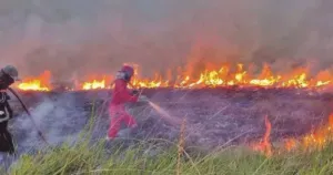 Riau Darurat Karhutla! 3.474 Hektare Lahan Hangus, Helikopter Water Bombing Dikerahkan 8 Riau Darurat Karhutla! 3.474 Hektare Lahan Hangus, Helikopter Water Bombing Dikerahkan