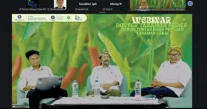 IPB University Edukasi Petani Cabai Hadapi Serangan Hama dan Penyakit Tanaman