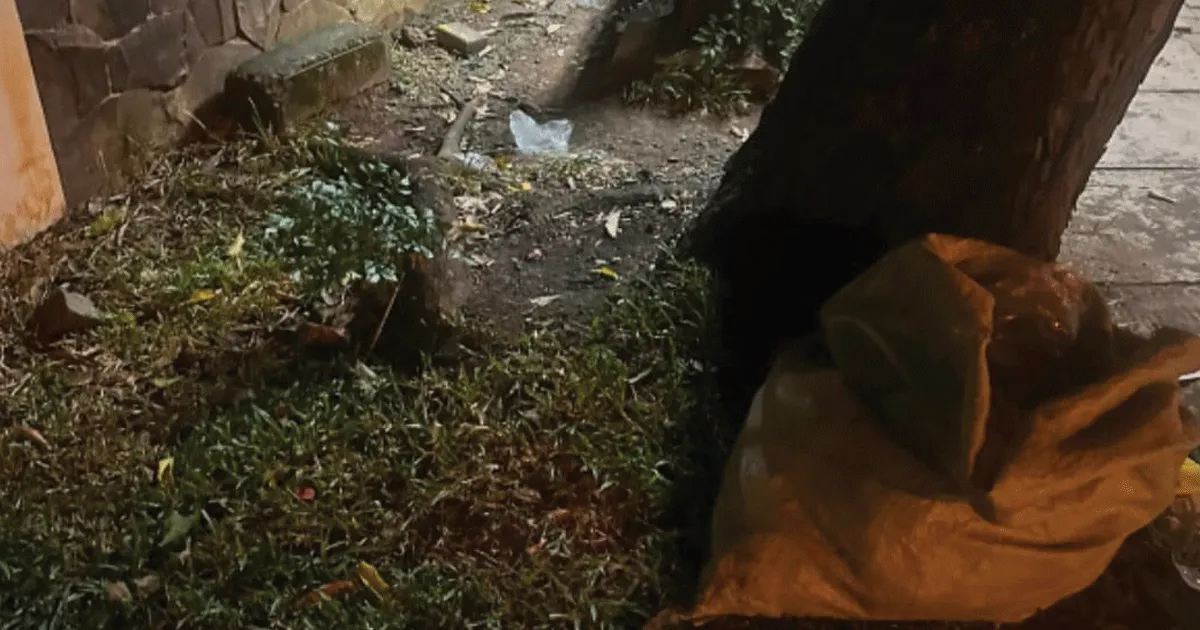 Heboh Paspor Dibuang di Pinggir Jalan BSD, Imigrasi Telusuri Pemilik dan Penanggung Jawab 1 Heboh Paspor Dibuang di Pinggir Jalan BSD, Imigrasi Telusuri Pemilik dan Penanggung Jawab