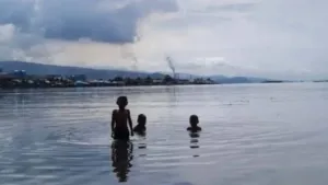 Dosen IPB: Dampak Tambang Nikel di Pesisir Perlu Dikelola Ketat untuk Lindungi Ekosistem dan Masyarakat 4 Dosen IPB: Dampak Tambang Nikel di Pesisir Perlu Dikelola Ketat untuk Lindungi Ekosistem dan Masyarakat
