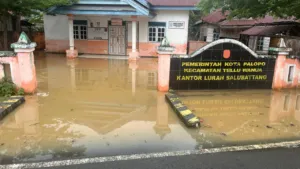 Banjir, Angin Kencang hingga Kebakaran Lahan Landa Sejumlah Daerah, Ini Penjelasan BNPB 8 Banjir, Angin Kencang hingga Kebakaran Lahan Landa Sejumlah Daerah, Ini Penjelasan BNPB