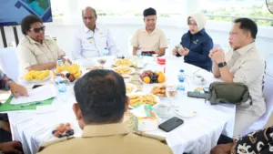 Mendagri Galang Dukungan Pemda Papua Sukseskan Sensus Ekonomi 2026