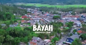 Hutan dan Pesisir Bayah Kian Rusak, Aktivis Desak Audit Lingkungan dan Penindakan Tegas 1 Hutan dan Pesisir Bayah Kian Rusak, Aktivis Desak Audit Lingkungan dan Penindakan Tegas