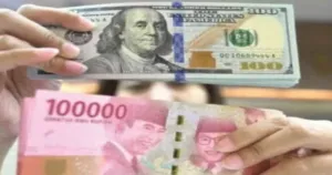 Defiyan Cori: Pelemahan Rupiah Tak Serta-Merta Berdampak Langsung pada Seluruh Masyarakat 6 Defiyan Cori: Pelemahan Rupiah Tak Serta-Merta Berdampak Langsung pada Seluruh Masyarakat