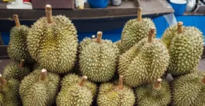 Pakar Gizi IPB: Durian Bukan Penyebab Langsung Kolesterol Tinggi 6 Pakar Gizi IPB: Durian Bukan Penyebab Langsung Kolesterol Tinggi