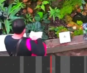 Pencuri Tanaman Langka di Kebun Raya Bogor Ditangkap, Kini Jalani Proses Hukum 9 Pencuri Tanaman Langka di Kebun Raya Bogor Ditangkap, Kini Jalani Proses Hukum