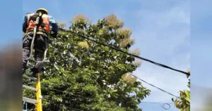 PLN Bogor Jelaskan Penyebab Pemadaman Listrik di Sejumlah Wilayah, Pasokan Kini Kembali Normal 3 PLN Bogor Jelaskan Penyebab Pemadaman Listrik di Sejumlah Wilayah, Pasokan Kini Kembali Normal