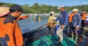 Dari Balik Jeruji, Warga Binaan Kelola Tambak Udang Modern Nusakambangan dengan Standar Profesional 6 Dari Balik Jeruji, Warga Binaan Kelola Tambak Udang Modern Nusakambangan dengan Standar Profesional
