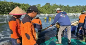 Budidaya Udang Vaname di Nusakambangan Jadi Bekal Keterampilan dan Harapan Baru bagi Warga Binaan 5 Budidaya Udang Vaname di Nusakambangan Jadi Bekal Keterampilan dan Harapan Baru bagi Warga Binaan