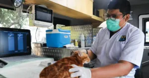 Pramono Terjunkan Lima Mobil Klinik Hewan Keliling, Warga Tak Perlu Rogoh Kocek Besar