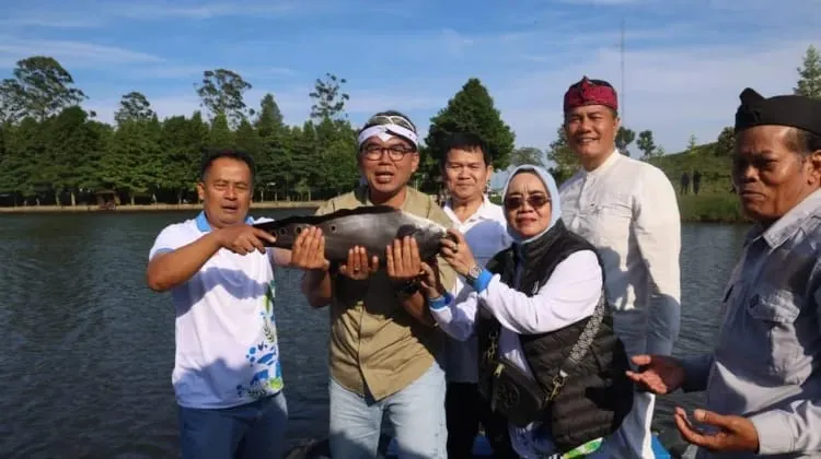 Peneliti FMIPA UI Rekomendasikan Eradikasi Ikan Alien di Telaga Saat demi Lindungi Hulu Ciliwung 1 Peneliti FMIPA UI Rekomendasikan Eradikasi Ikan Alien di Telaga Saat demi Lindungi Hulu Ciliwung