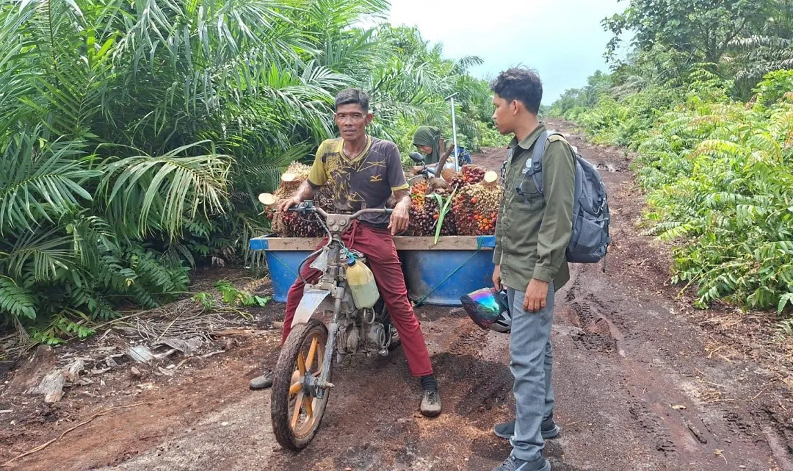 Menegangkan! Seekor Harimau Sumatra Tiba-tiba Melompat ke Motor Buruh Sawit 1 Menegangkan! Seekor Harimau Sumatra Tiba-tiba Melompat ke Motor Buruh Sawit
