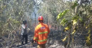5 Provinsi Dilanda Karhutla, BNPB Sebut Bali Jadi Wilayah Terparah 2 5 Provinsi Dilanda Karhutla, BNPB Sebut Bali Jadi Wilayah Terparah