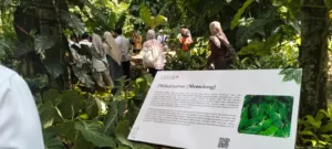 KRB Perkuat Status sebagai Calon Warisan Dunia UNESCO Lewat Konservasi Flora dan Sejarah Ilmiah