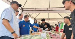 Harga Cabai di Bogor Masih Berfluktuasi, Telur Ayam Cenderung Stabil 1 Harga Cabai di Bogor Masih Berfluktuasi, Telur Ayam Cenderung Stabil