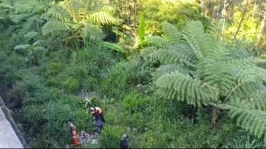 Sampah Liar Kembali Cemari Lereng Riung Gunung Puncak, DLH dan PTPN I Regional 2 Angkut Enam Kubik Sampah 1 Sampah Liar Kembali Cemari Lereng Riung Gunung Puncak, DLH dan PTPN I Regional 2 Angkut Enam Kubik Sampah