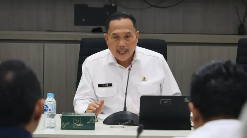 ATRBPN mafia tanah
