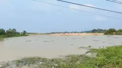 BPN