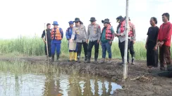 Budidaya