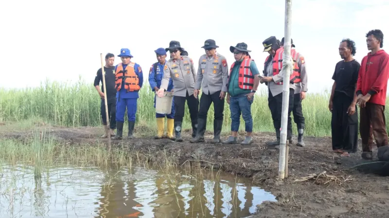 Budidaya