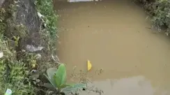 DLH