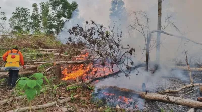 HUTAN