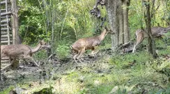 IMG-20260716-WA0074
