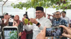 IPB