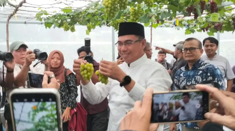 IPB