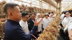 Kementan