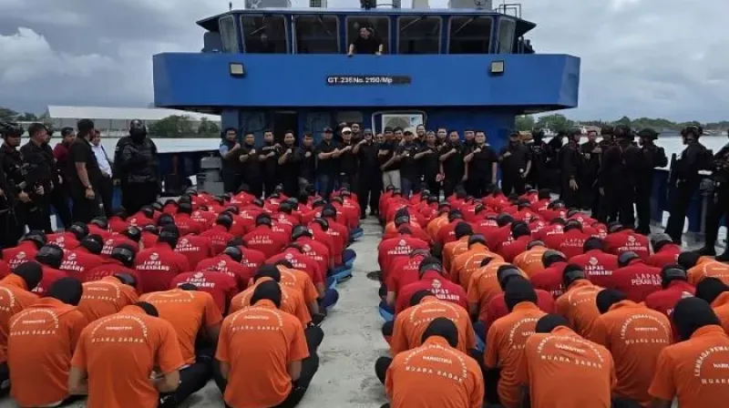 Napi Berisiko Tinggi