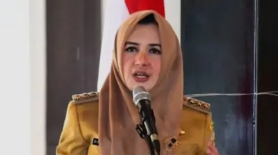OTT KPK