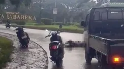 Pemotor
