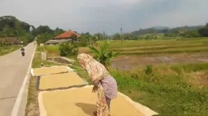Proyek Baru - 2026-06-02T153850.166
