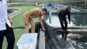 Proyek Baru - 2026-07-09T125352.910
