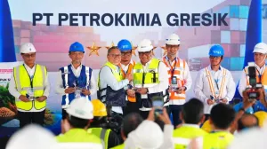 Proyek Baru - 2026-07-15T152403.037