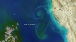 Peta Selat Hormuz di Timur Tengah yang menjadi jalur utama perdagangan minyak dunia dan menjadi tuntutan Iran dalam negosiasi perdamaian dengan Amerika Serikat.