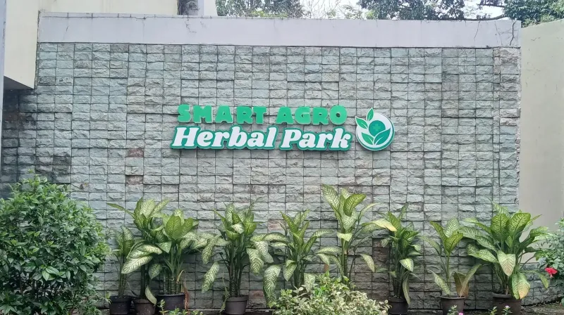 TMII