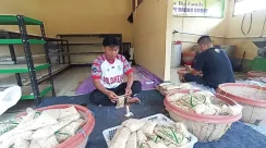 TUANG-TEMPE