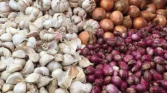 bawang
