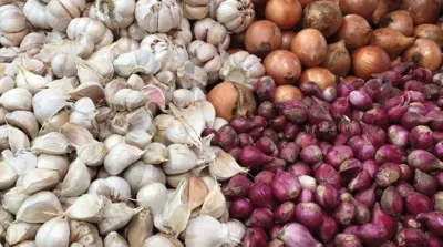 bawang