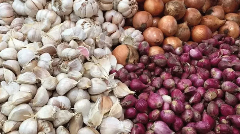 bawang