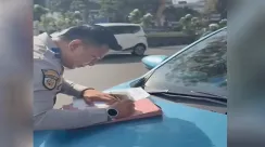 dlajr