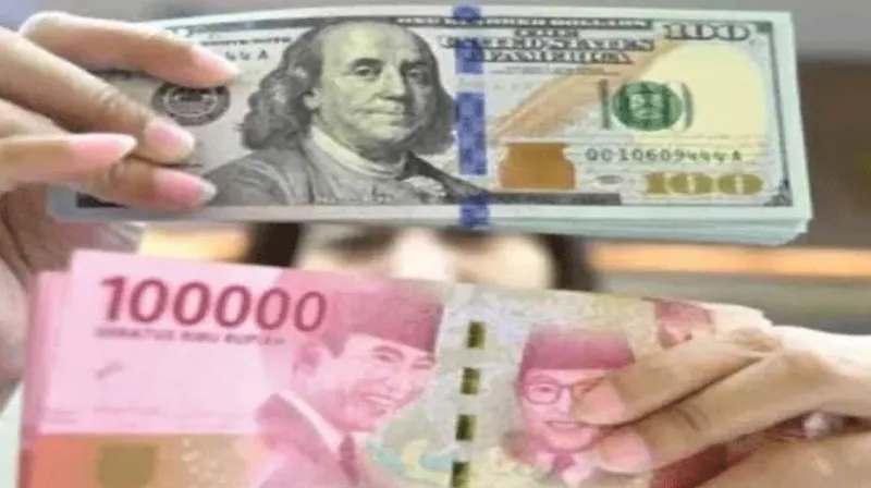 dolar