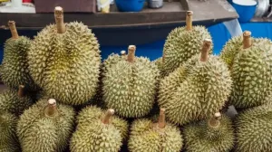 duren