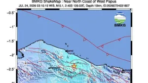 gempa tektonik papua
